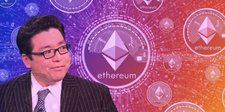 BitMine