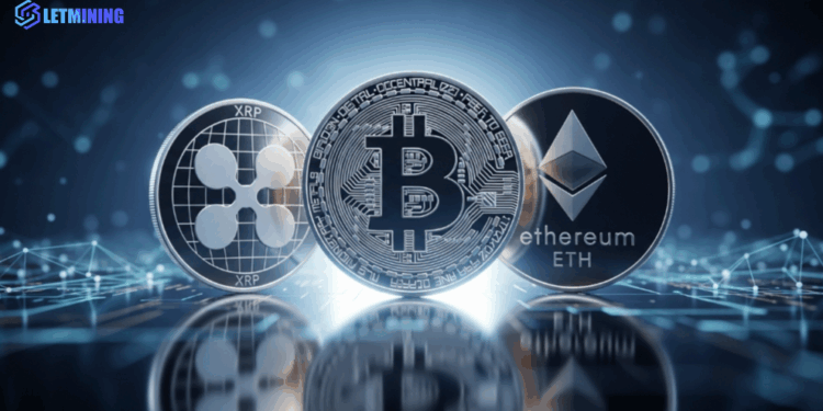 Amidst the turmoil in the cryptocurrency market, BTC, XRP, and ETH holders have turned to LET mining, easily earning $4,800 per day.