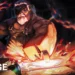 How To Get Runes in The Forge