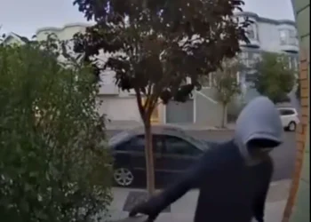 $11 Million Crypto Heist: Fake Delivery Man Targets Home of OpenAI CEO's Former Boyfriend