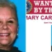 Fake Airline Heiress Mary Carole McDonnell Accused of $30 Million Bank Fraud, Flees to Dubai