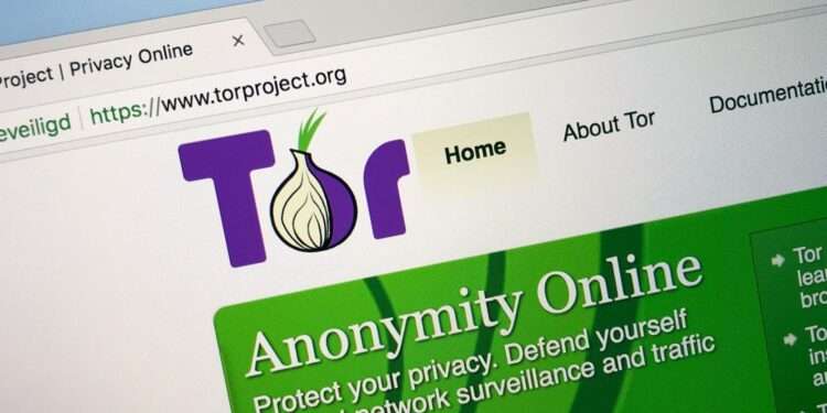 US Government Support for Tor Shrinks as Nonprofit Expands Its Funding Base