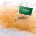 Saudi Arabia Throws Open Its Property Market to Foreigners
