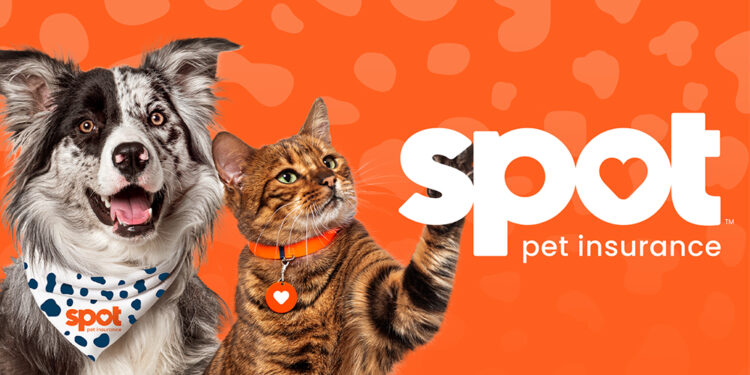 spot-pet-insurance
