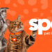 spot-pet-insurance
