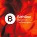 BitMine