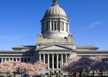 Washington Legislature Considers Age Verification Mandate for Adult Websites
