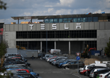 Tesla Tops California Charts Despite a Turbulent Year
