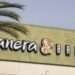 Match Group and Panera Bread Probe Cyber Incidents Linked to ShinyHunters Activity