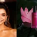 Delhi High Court Restrains Deepika Padukone’s 82°E Over ‘Lotus Splash’ Trademark Dispute
