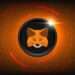 MetaMask