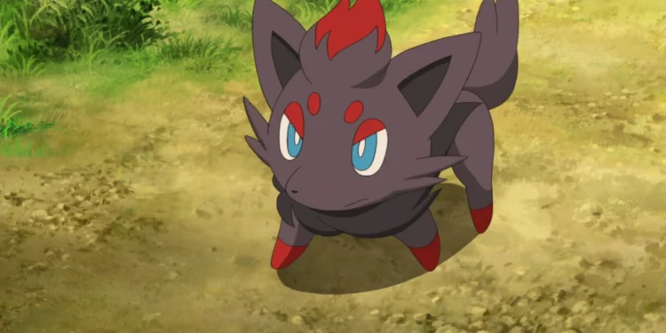 Zorua
