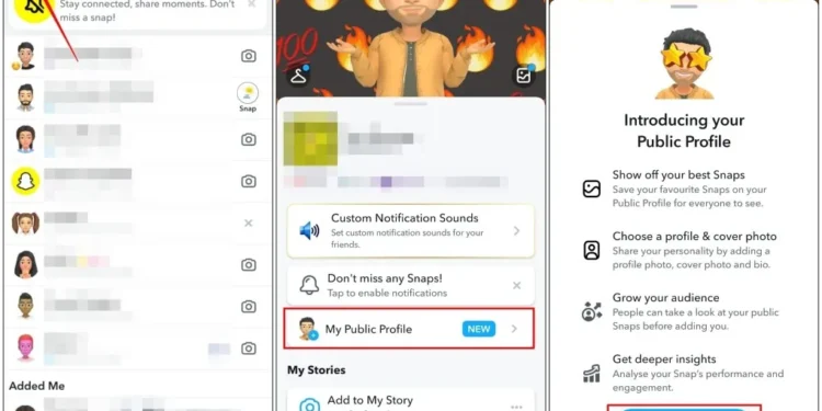 Snapchat-Public-Profile