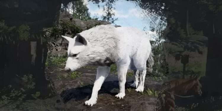 crimson-desert-silver-fang