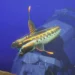 Subnautica 2