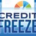 Freeze credit