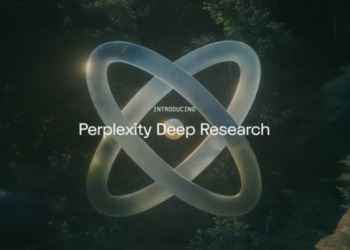 Perplexity