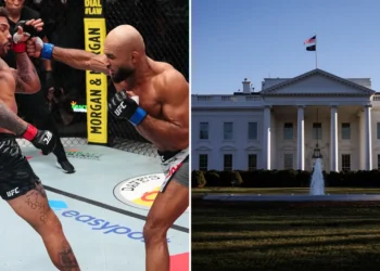 UFC