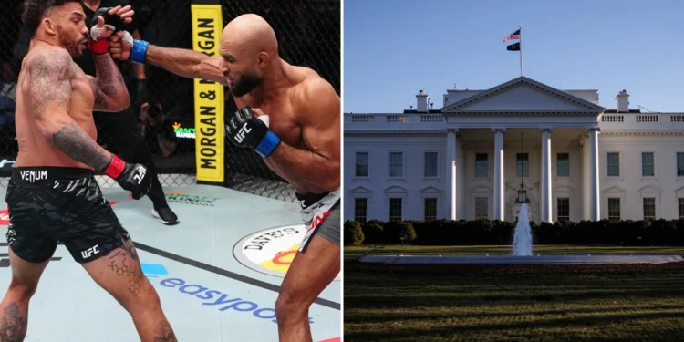 UFC