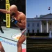 UFC