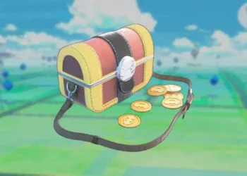 Coin Bags