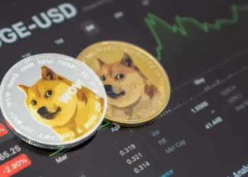 DOGE shuts down operations