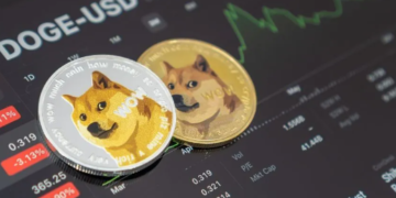DOGE shuts down operations