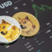 DOGE shuts down operations