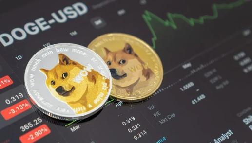 DOGE shuts down operations