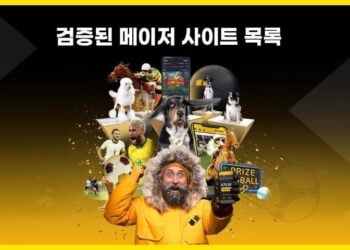 2026년 메이저사이트 기준과 검증된 사이트 목록