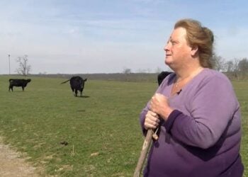 Kentucky Woman Rejects $26 Million Offer to Keep Family Farm Out of Data Center Development