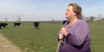 Kentucky Woman Rejects $26 Million Offer to Keep Family Farm Out of Data Center Development