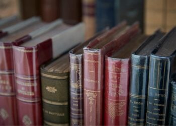 Secondhand Booksellers in UK and Ireland Suspect AI Firms Behind ‘Strange’ Bulk Orders