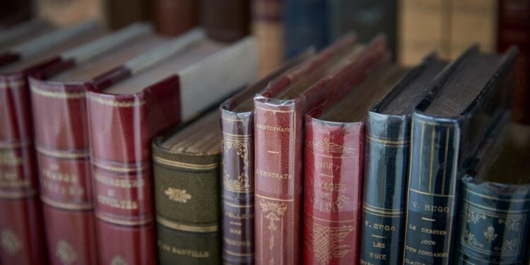 Secondhand Booksellers in UK and Ireland Suspect AI Firms Behind ‘Strange’ Bulk Orders
