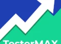 TesterMAX Review: Turning Spare Time Into Free Cash