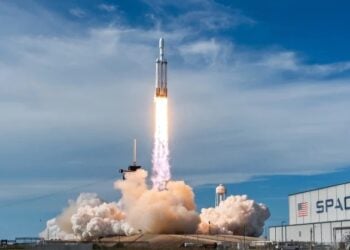 SpaceX Mulls Buying Data From Troubled Startups to Train Its AI Models