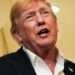Trump and Sons Invest Heavily in AI Economy as He Resists Calls for Slowdown