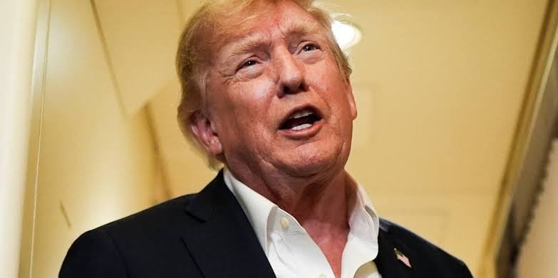 Trump and family invest heavily in AI economy while resisting slowdown calls