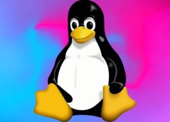 The Netherlands Is Building Its Own Linux OS to Break Free From Microsoft